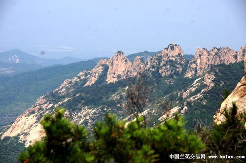 初见天崮山：果然是江北小黄山
