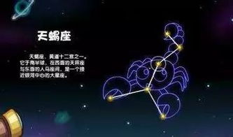 先说说马盘太阳到底是啥东西？