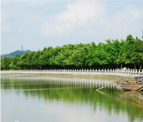 1、 观鸟较长廊——走走停停随便拍