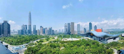 第三章：海岸线漫步——大鹏半岛的回忆