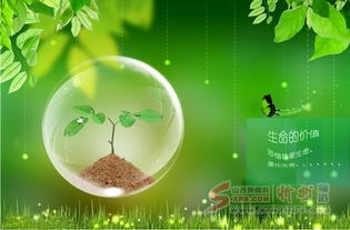 为什么同样是生命，却有着不同的价值体现？