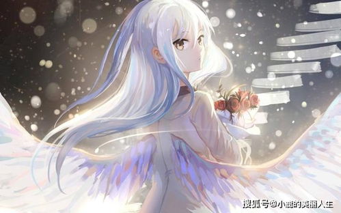 星座与阴阳乱序