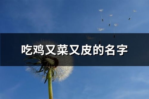 1. 经典风格：让古韵与现代化碰撞