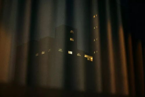 十二生肖与午夜钟声的秘密