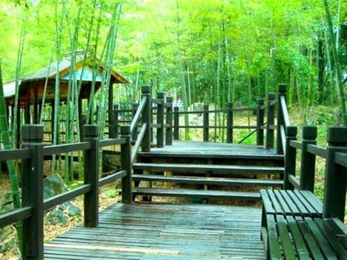 三、 中午：巷子里的碳水炸弹——别去景区餐厅，那是旅游陷阱