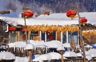 雪蘑菇的故乡，雪乡的诱惑
