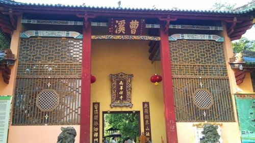 节日?不如在家躺平!