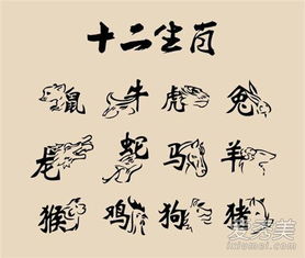 九九重阳节猜的数字是什么生肖对应的？