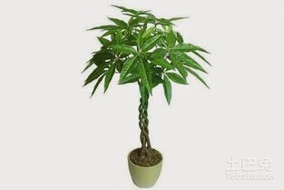 卫生间大忌：冲走財運