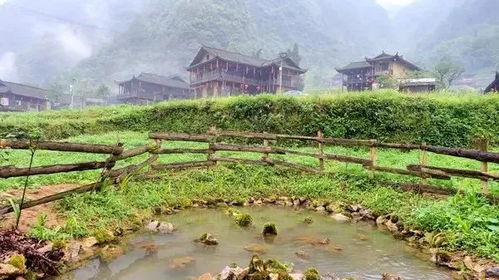 四、 独特体验，感受传统文化