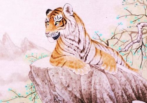 2026年属虎女性财运如何，2025年属虎招财转运物品具体指什么？