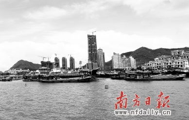 蛇口渔港：啊啊啊这里的海鲜会跳舞！