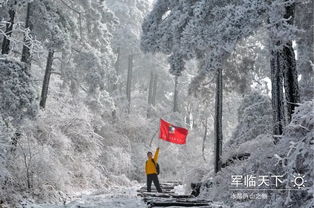 前言：南国冬韵初见