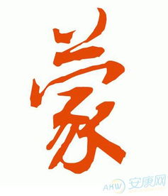 一、宸字到底是个啥子玩意儿？