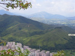 肇庆地区风水大地,肇庆地区风水大地