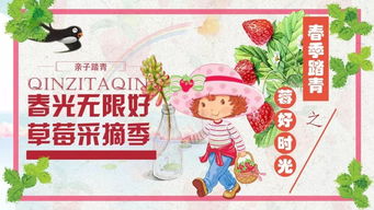 四、 现场活动（请自行想象）