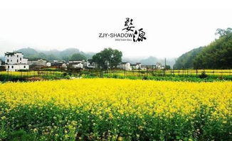 关于那个导游小涵