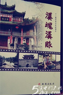 ① 自然美 vs 人文深度——不可避免的选择偏差