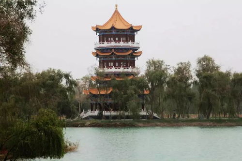 第三节：那些年我们一起追逐过的风筝...