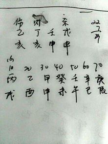 八字中癸水坐亥位是否意味着水势过旺，对命运有何影响？