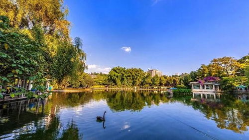 翠湖公园：湖光倒影里的迷糊梦境