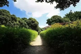 上午:集合出发与迷路环节