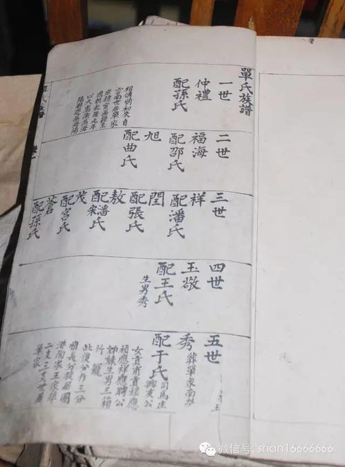 2026年徐涛名字测算，徐姓辈分排字表书改写，如何进行姓名分析？