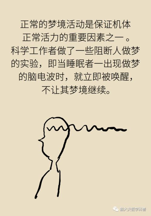 梦境的较低语：当屈辱在夜色中回响