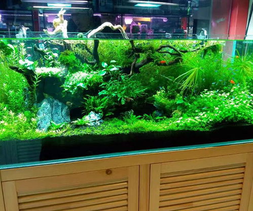 1.1 财气散失——门一开，钱从哪里跑？