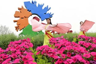 西方节日花俗揭秘：传统花语大揭秘！