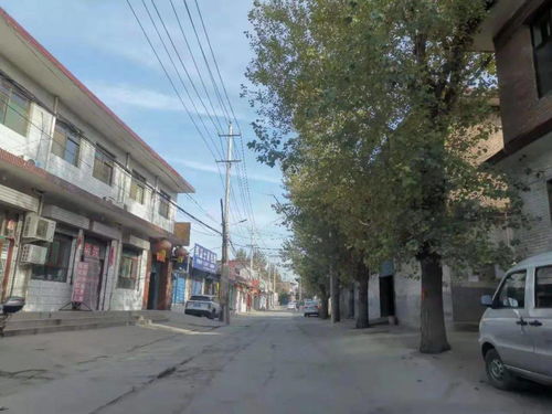 玉林风水街这条街对附近那栋楼的风水有何影响？