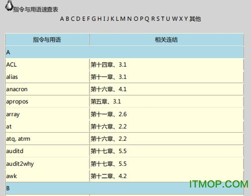 鸟哥名字打分系统全面评测