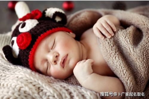 给牛宝宝起名的技巧（随便写写）
