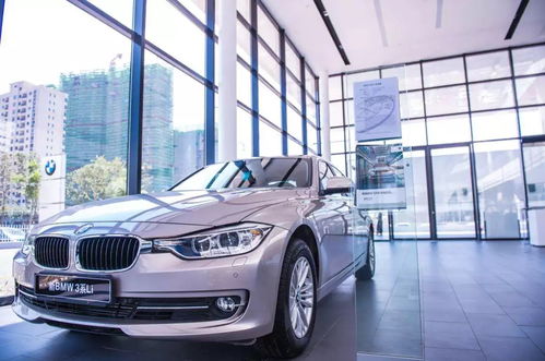 2026年属马人八月提车吉日，1月11日提新车是否合适？