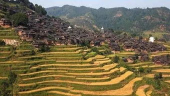二、 双峰山国家森林公园：历史与自然的交融