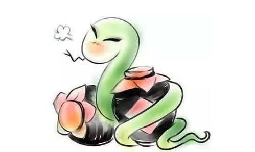 2026年属蛇人的爱情和53年属蛇礼物分别代表什么含义？