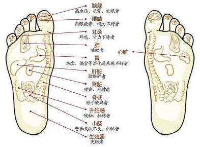 一、脚底乾坤：藏着你一生的肝胆宿命！