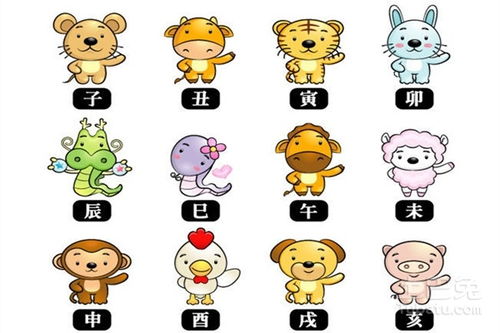 12生肖怎么排列顺序？12生肖排序的含义是什么？