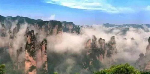 旅游攻略路线：溆浦桐木溪的隐秘路径