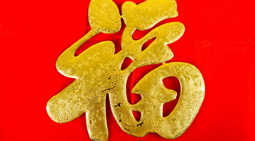 三、 每日吉凶指引（隨機噪音版）