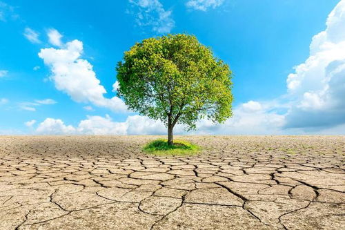 2023年双春闰二月，民谚双春闰二月，春寒逢秋旱是什么意思？