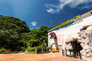 5D探险之旅：刺激还是恶心？