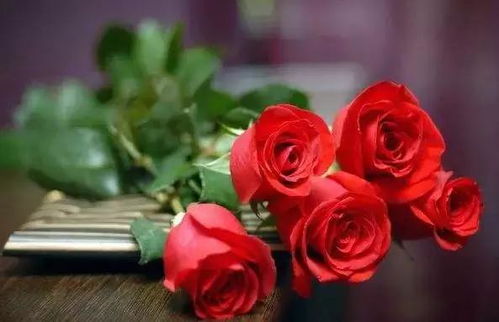 书评？不如看八卦！