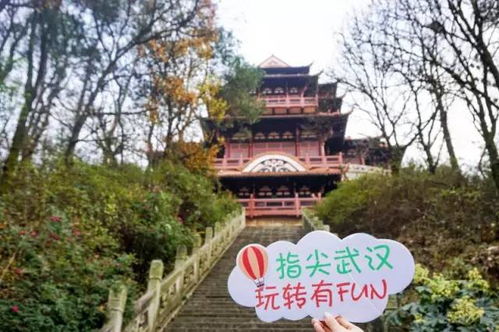 六、 随机段落—打破结构化思维 🎲🎲🎲