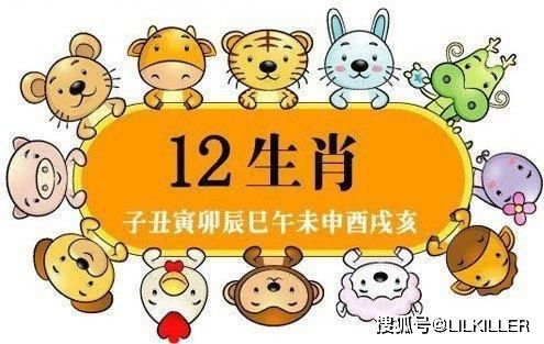 第三个大魔王：属狗的杠精
