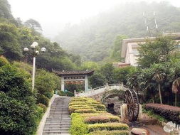 门票市场价格