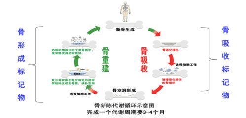 一、关于耳朵颜色的那些破事儿