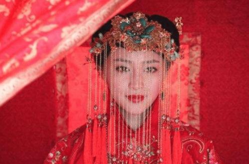 五、  其他案例佐证