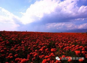 一、 随意出发前的“准备”