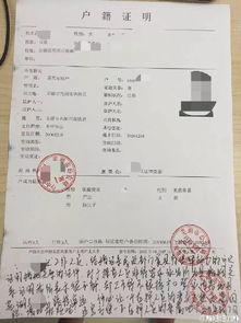 2026年8月有哪些吉日适合登记结婚领证？